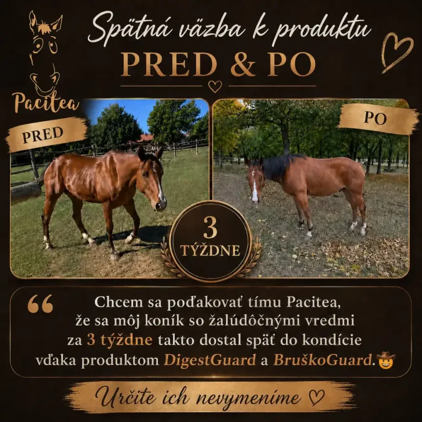 Pacitea - Bruškoguard — pri žalúdočných vredoch