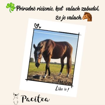 ☘️Prírodné riešenie, keď valach zabudol, že je valach🐴