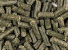 Baileys No.24 Ease & Excel Cubes – nízkoškrobové krmivo pre kone, vhodné pre kone so žalúdočnými vredmi (pelety)