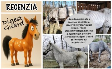 Keď sa všetko zdalo stratené… 🐴✨