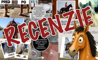 Všetky recenzie na jednom mieste