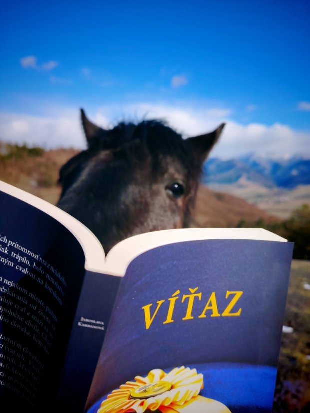 Kniha: Víťaz - Jaroslava Karbanová
