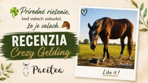 ☘️Prírodné riešenie, keď valach zabudol, že je valach🐴