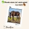 ☘️Prírodné riešenie, keď valach zabudol, že je valach🐴