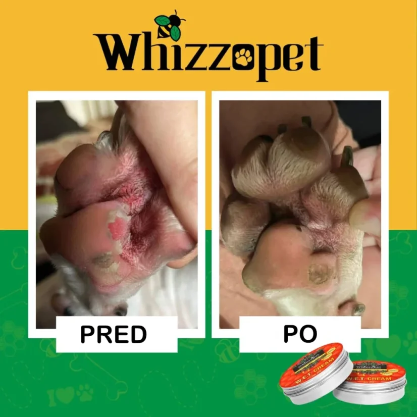 Masť na kožné plesne pre psov W.E.T. Cream