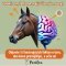 🧠🐴 15 zaujímavostí o koňskom mozgu, ktoré vás prekvapia!