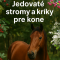 🌳 Jedovaté stromy a kríky pre kone 🐴