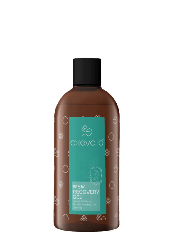 MSM regeneračný gél 500ml