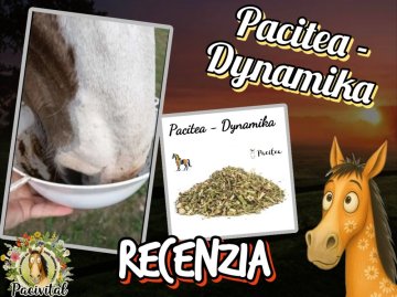 🌿🐴 Ľahší pohyb, menej bolesti, viac radosti ✨