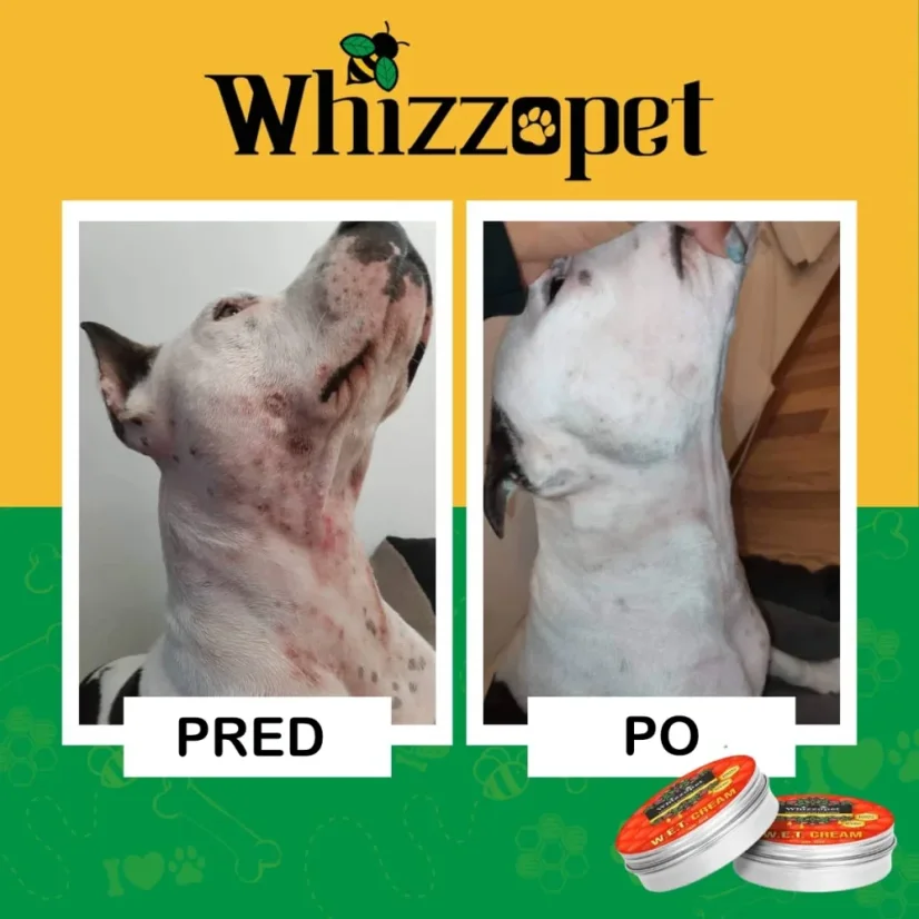 Masť na kožné plesne pre psov W.E.T. Cream