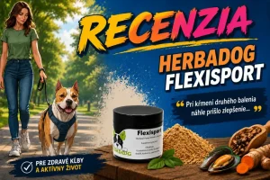🐶Viac pohybu, viac radosti – aj v zrelom veku 🐾✨