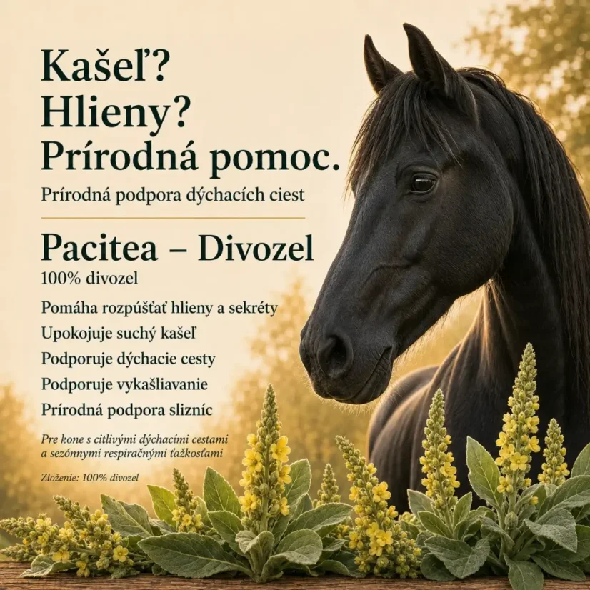Pacitea - Divozel — na rozpustenie hlienov