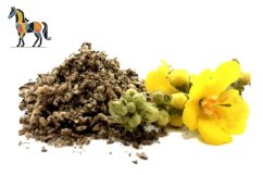 Bylinná zmes pre dýchavičné kone na rozpustenie hlienov, divozel