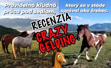 Ako to dopadlo s naším valachom, ktorý sa správal ako žrebec?