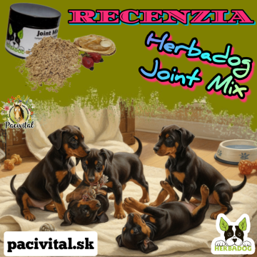 Správny vývoj kĺbov – základ aktívneho života psa 🐾