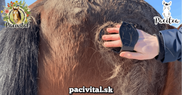Tipy na obdobie pĺznutia