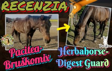 Recenzia Pacitea Bruskomix a Digest Guard Recenzia Pacitea Bruskomix a Digest Guard