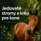 🌳 Jedovaté stromy a kríky pre kone 🐴