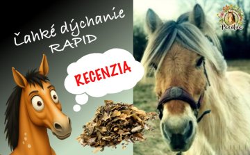 Láska a starostlivosť dokážu zázraky. ✨💚