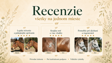 Všetky recenzie na jednom mieste