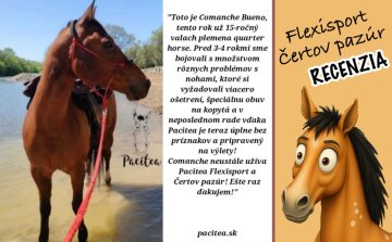 Comanche znovu bez ťažkostí! 🐎🌟