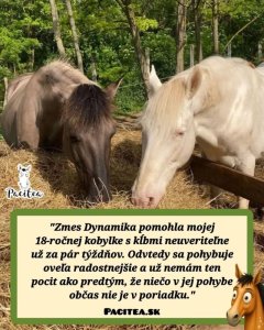 🌿💚 Keď sa pohyb zmení na radosť 💚🌿