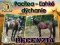 💛Ľahšie dýchanie, spokojnejšie dni 🐴🌿