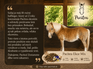 Ako sme porazili ekzém — príbeh haflingera Szilaja.