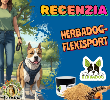 🐶Viac pohybu, viac radosti – aj v zrelom veku 🐾✨