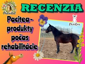💪Keď vytrvalosť a láska víťazí 💚🐴