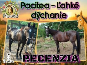💛Ľahšie dýchanie, spokojnejšie dni 🐴🌿
