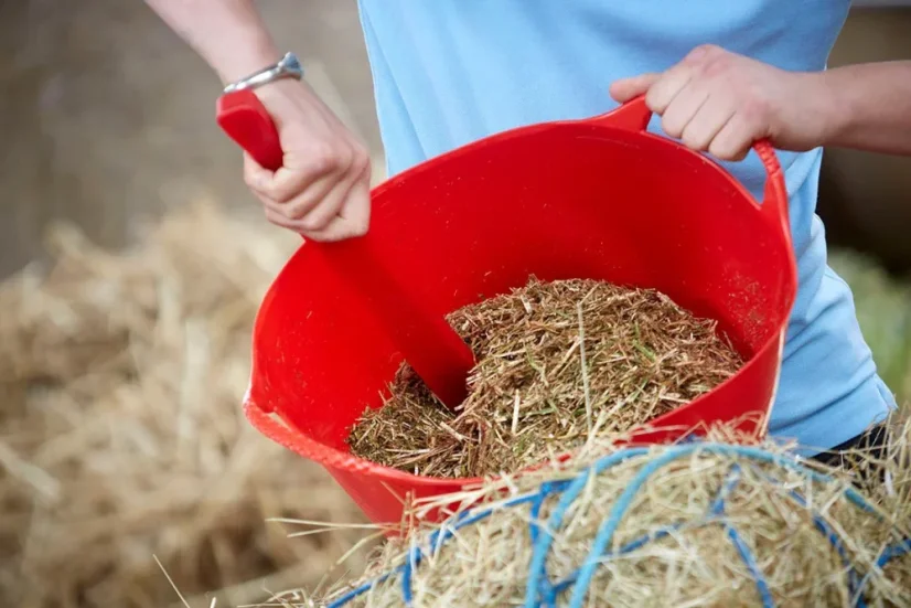 Stir Up – miešacia tyč na krmivo - Farba: Fialová
