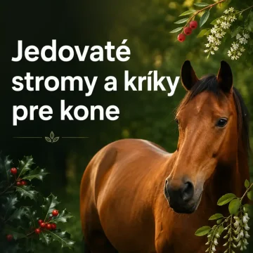 🌳 Jedovaté stromy a kríky pre kone 🐴