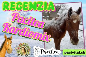 Podpora krvného obehu, ktorá prináša viditeľné výsledky💖🐎✨