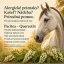 Pacitea - Quercetin — proti alergickým príznakom