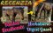 Recenzia Pacitea Bruskomix a Digest Guard