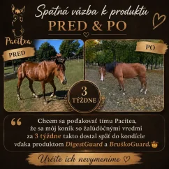 Pacitea - Bruškoguard — pri žalúdočných vredoch