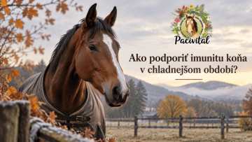 Ako podporiť imunitu koňa v chladnejšom období?