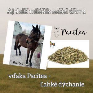 🍀💨Pacitea Ľahké dýchanie pomohlo tam, kde už nič iné nezaberalo!🐴