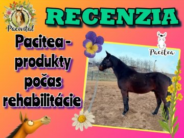 💪Keď vytrvalosť a láska víťazí 💚🐴