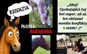 Pacitea-Harmónia pomáha pri nových začiatkoch 😇🤍