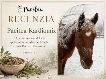 Podpora krvného obehu, ktorá prináša viditeľné výsledky💖🐎✨
