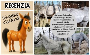 Keď sa všetko zdalo stratené… 🐴✨