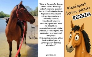 Comanche znovu bez ťažkostí! 🐎🌟