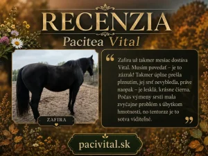 Vital opäť dokázal, že kvalitné bylinky robia rozdiel. 🌿✨