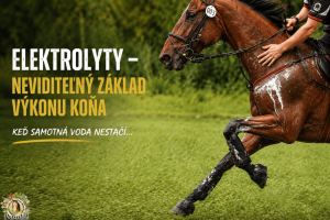 Elektrolyty – neviditeľný základ výkonu koňa