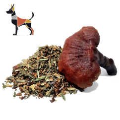 Herbadog – Immundog