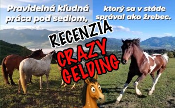 Ako to dopadlo s naším valachom, ktorý sa správal ako žrebec?