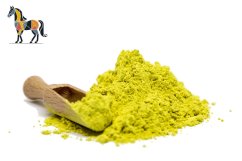 Bylinky pre kone pri alegii, dýchacích problémoch a astme, prírodný antihistamin