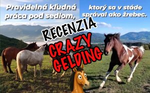 Ako to dopadlo s naším valachom, ktorý sa správal ako žrebec?